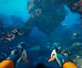 Former Subnautica 2 Leadership Alleges Krafton Delayed the Game to Avoid Paying $250M Bonus