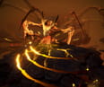 Torchlight: Infinite Reveals Season 12 Titled Overrealm