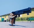 Squirrel with a Gun reveals Nintendo Switch 2 version, sets launch date