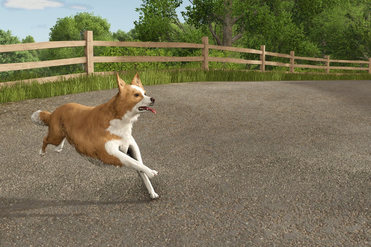 Farming Simulator patch adds Border Collie with multiple color variations
