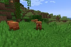 Minecraft Gets Spring to Life Update in March, Vibrant Visuals in the Future