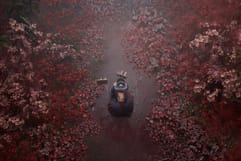 Survival Horror Silent Hill ƒ Debuts Globally