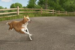 Farming Simulator patch adds Border Collie with multiple color variations
