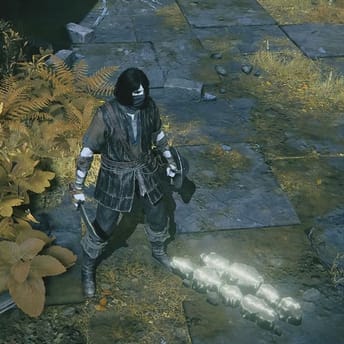 Elden Ring: Nightreign Removes Iconic Messaging System to Streamline Gameplay