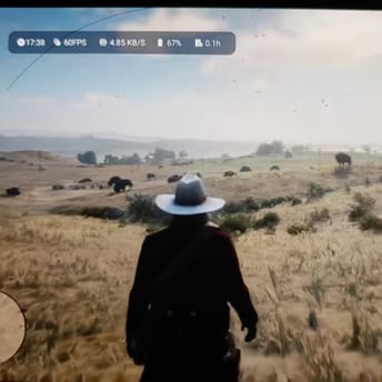 Red Dead Redeption 2 launched on an Android tablet