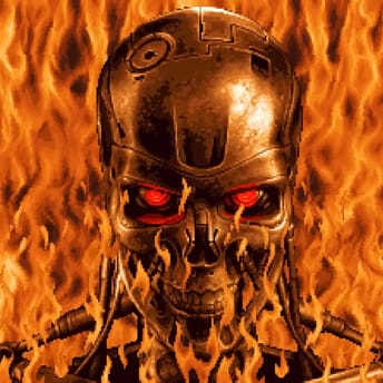 Terminator 2D No Fate