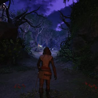 Avowed to Support 60 FPS at Launch Despite Months of 30 FPS Justification