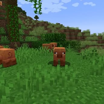 Minecraft Gets Spring to Life Update in March, Vibrant Visuals in the Future