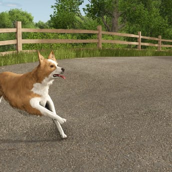 Farming Simulator patch adds Border Collie with multiple color variations