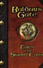 Baldur's Gate: Tales of the Sword Coast